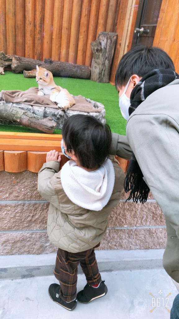 動物園